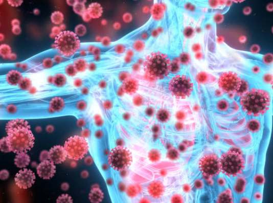 면역력이란(면역력에 좋은 음식과 레시피, 운동법 추천)