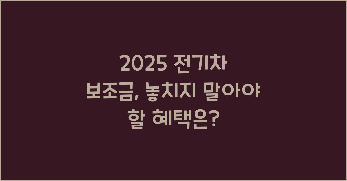 2025 전기차 보조금
