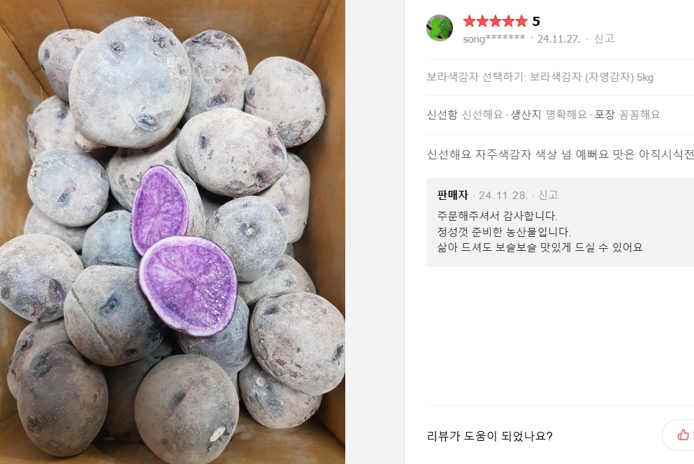 보라색감자-자색감자