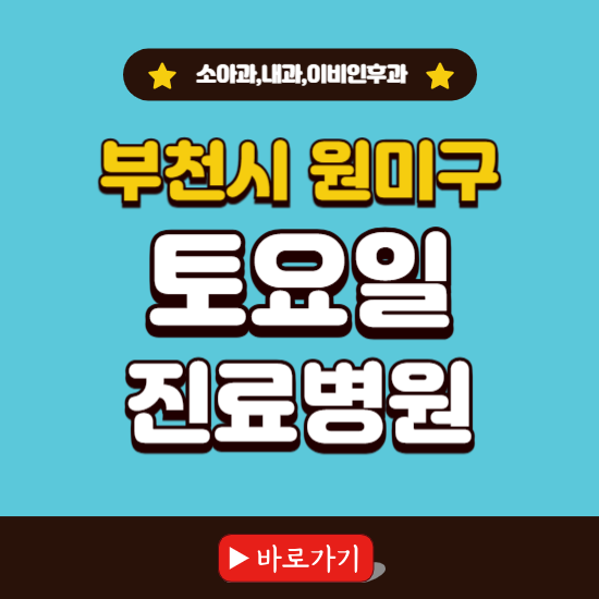 부천시 원미구 토요일 진료 병원 찾기 ❘ 주말 문여는 소아과, 내과, 이비인후과 리스트