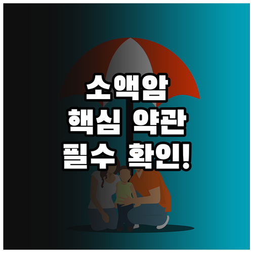 필수 확인 소액암 보험 약관 핵심 내