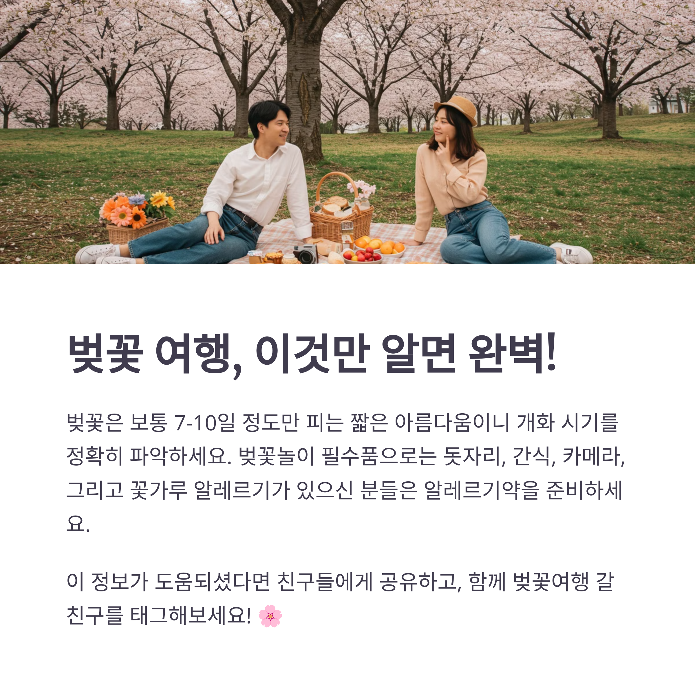 2025년 벚꽃 개화 시기는 언제인가요?