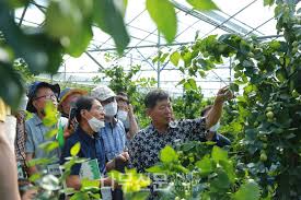 임업경영체 등록의 혜택