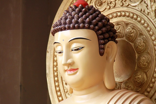 붓다의명상 호흡명상탄생