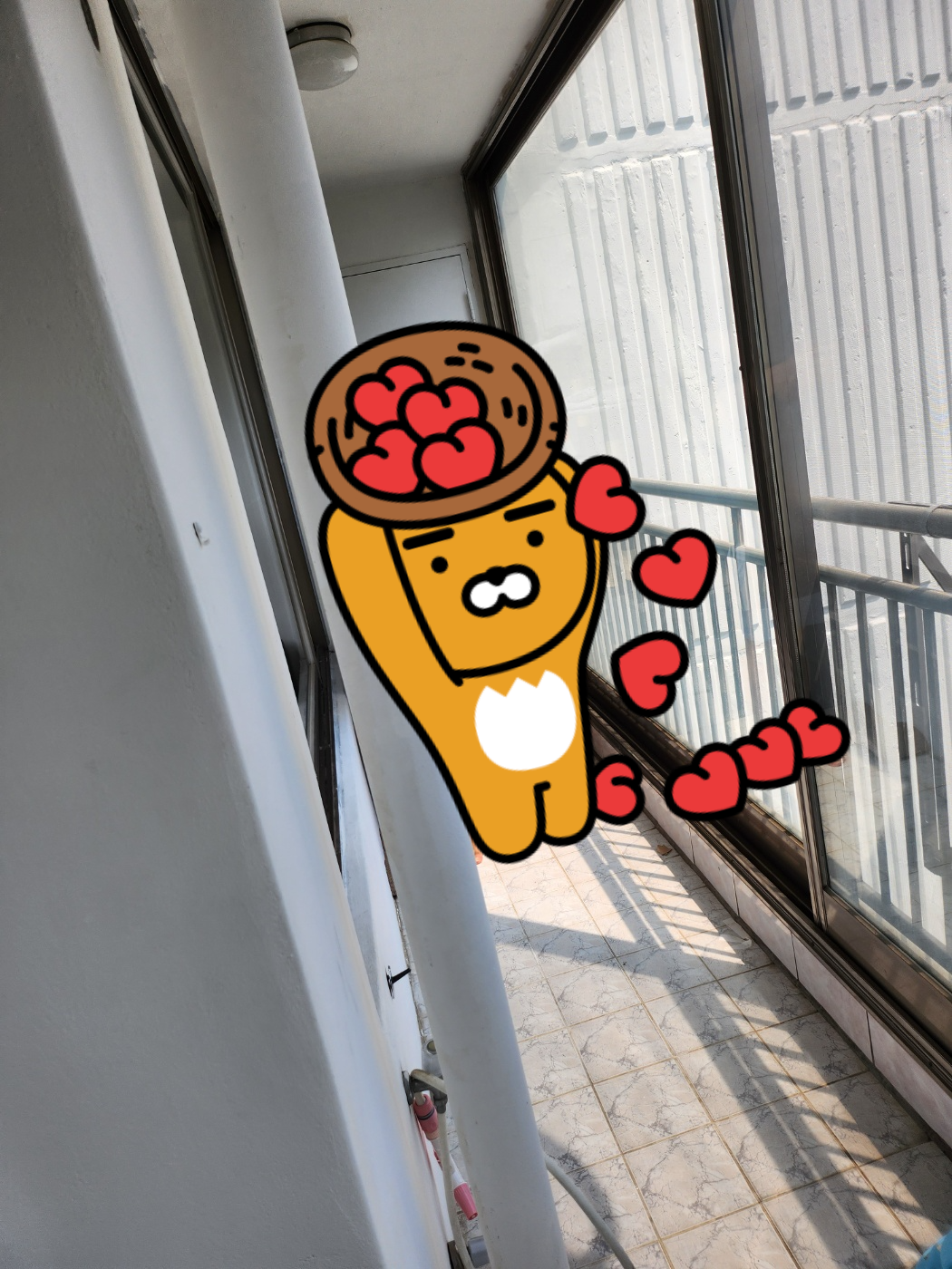 집에서 하기좋은놀이 비비탄총