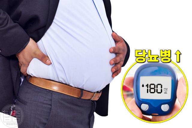 허리둘레 85cm 33인치 당뇨병 췌장암,팁줌