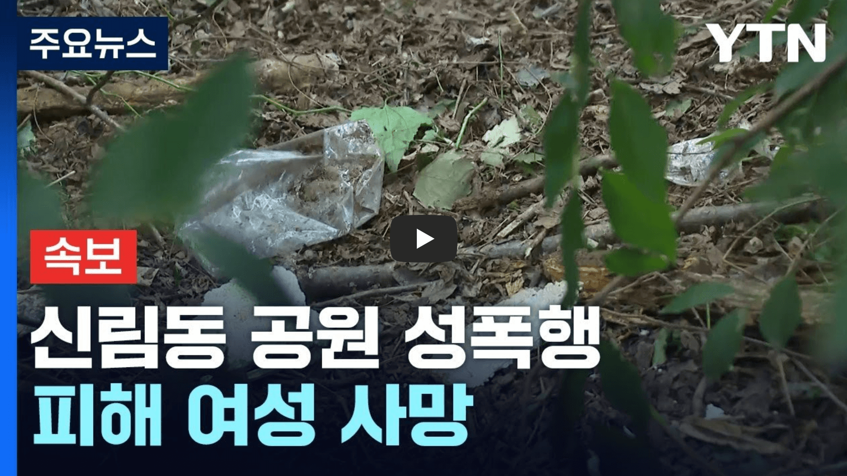 신림동 공원 피해자 관련 뉴스 영상의 섬네일