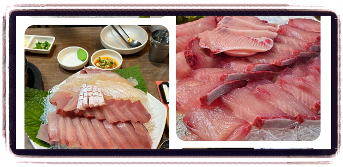 오늘N 퇴근후N 대왕뚝배기물회 후기