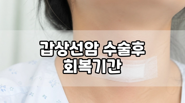 갑상선암 수술후 회복기간