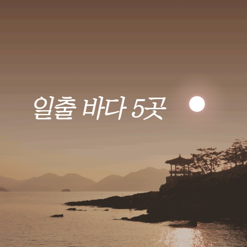 일출 바다 썸네일