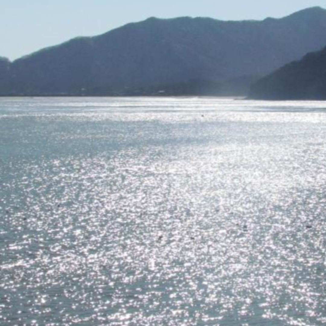 2024 단풍절정시기 지리산 단풍 절정 노고단 예약 필수 9