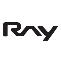 레이_로고