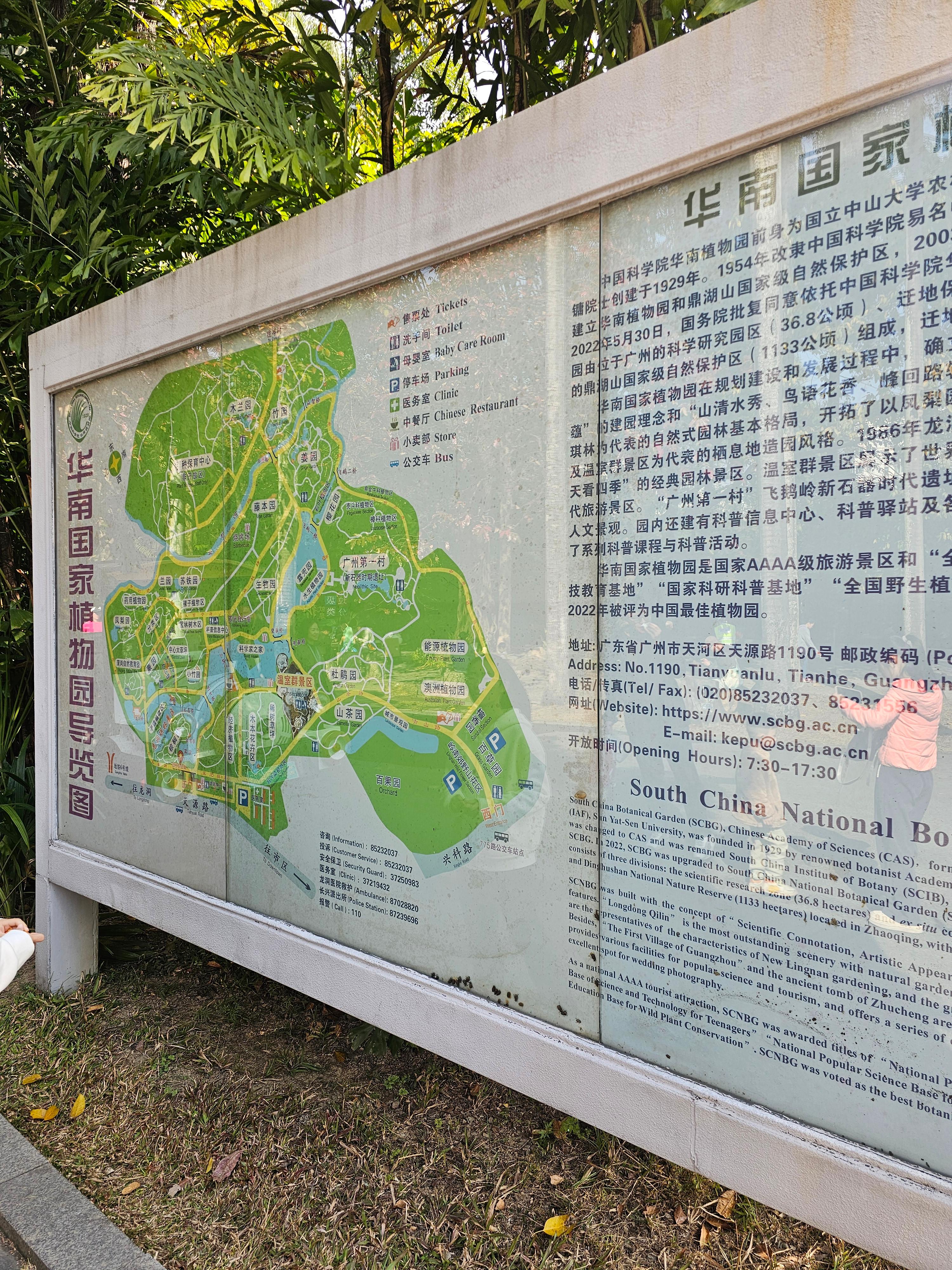 화남식물원 식물원 수목원 사진 중국여행