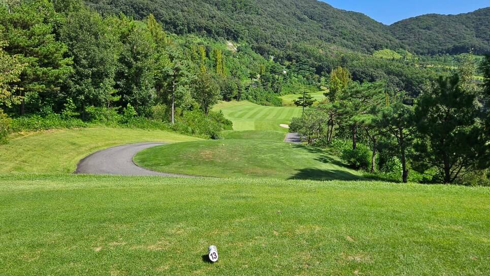 골프장 경험담 충주 세일cc 샷의 정교함이 필요한 골프장