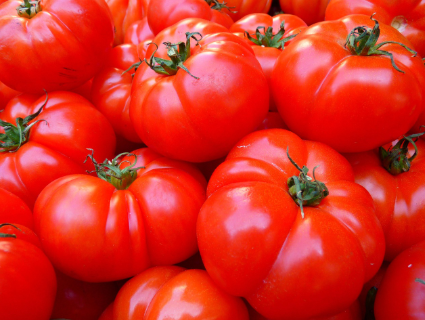 라 토마티나(La Tomatina) – 스페인의 토마토 전쟁 축제