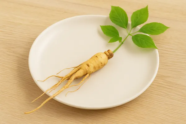 산삼 뿌리 접시에 놓인 이미지