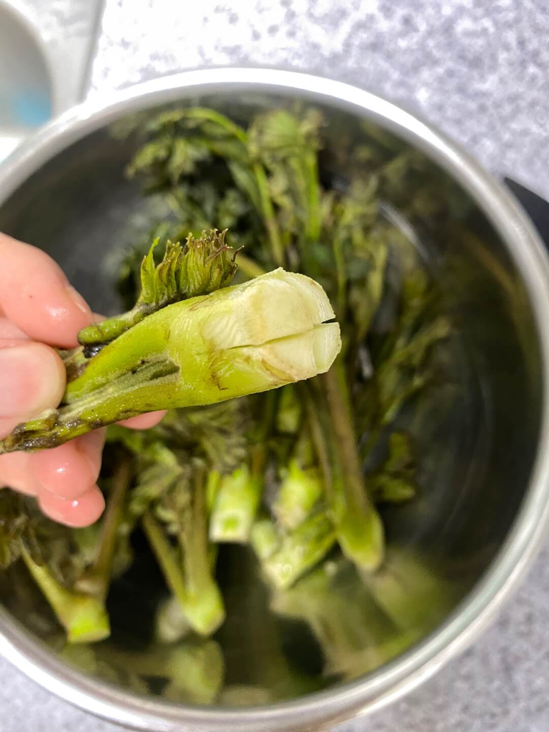 두릅 밑동 손질법