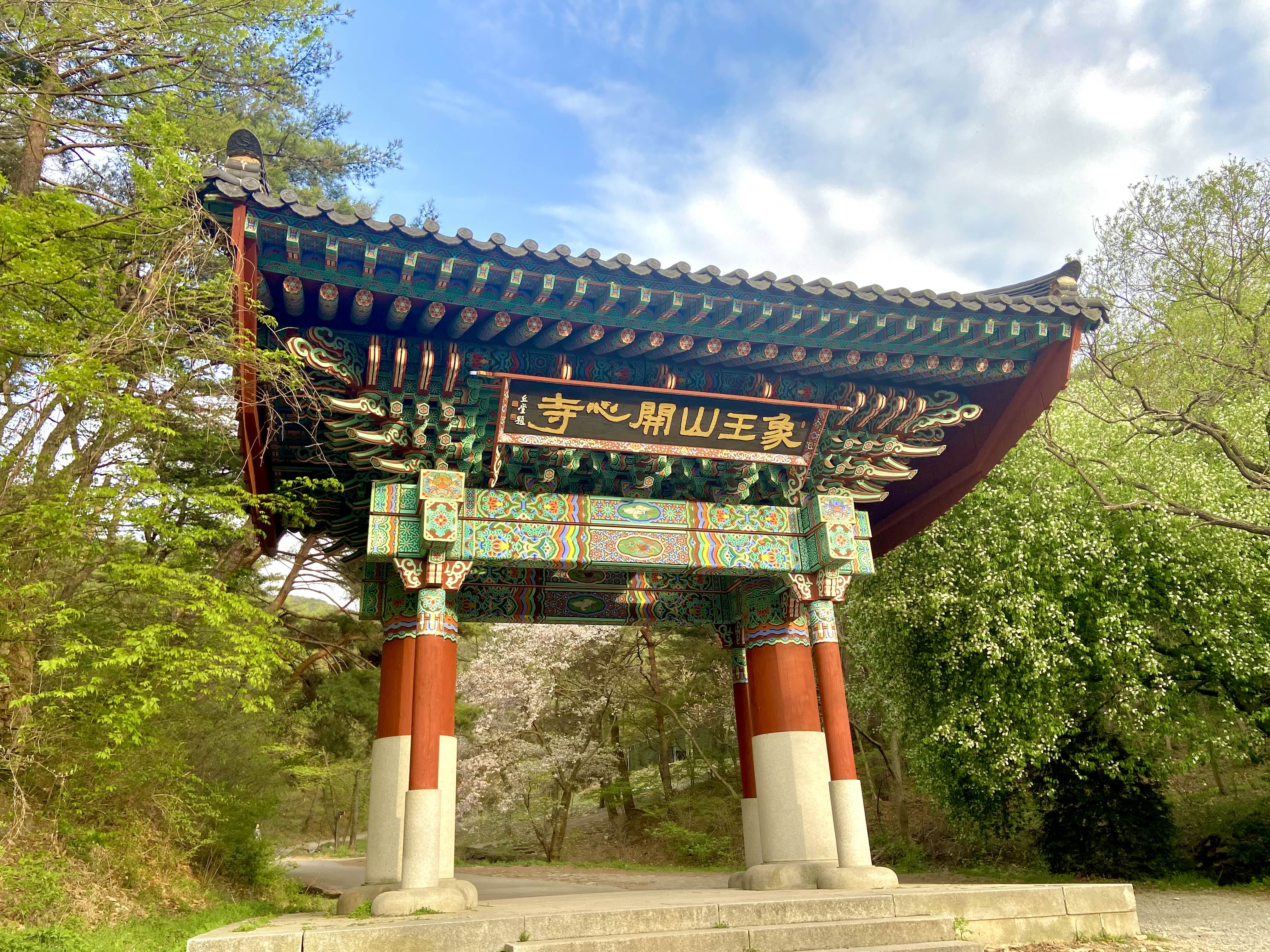 서산 겹벚꽃