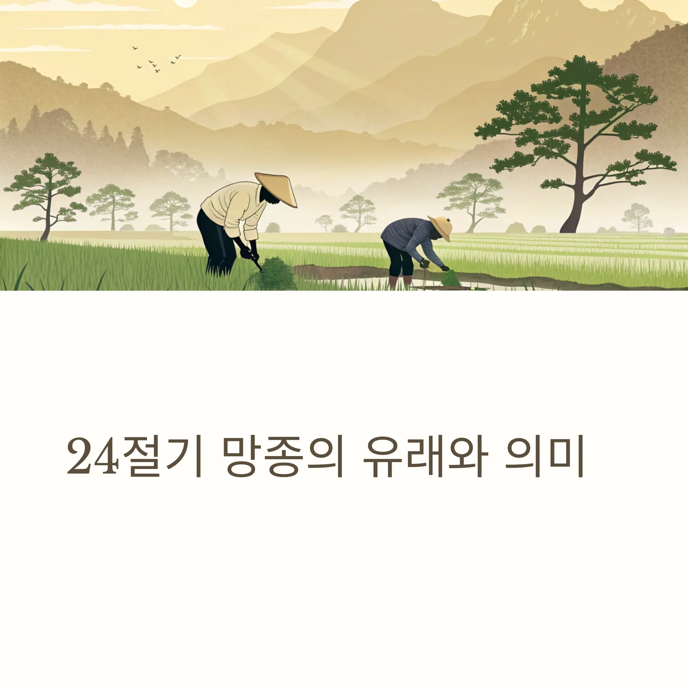 24절기-망종