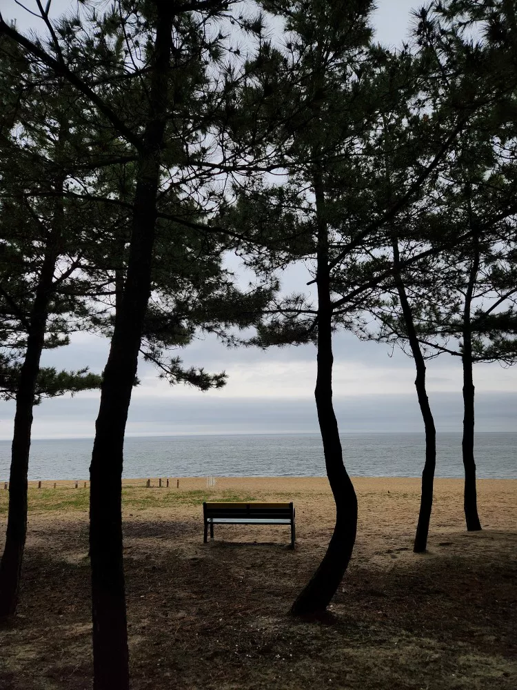 송정해변 의자