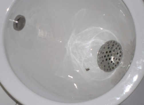 냄세 재발 방지