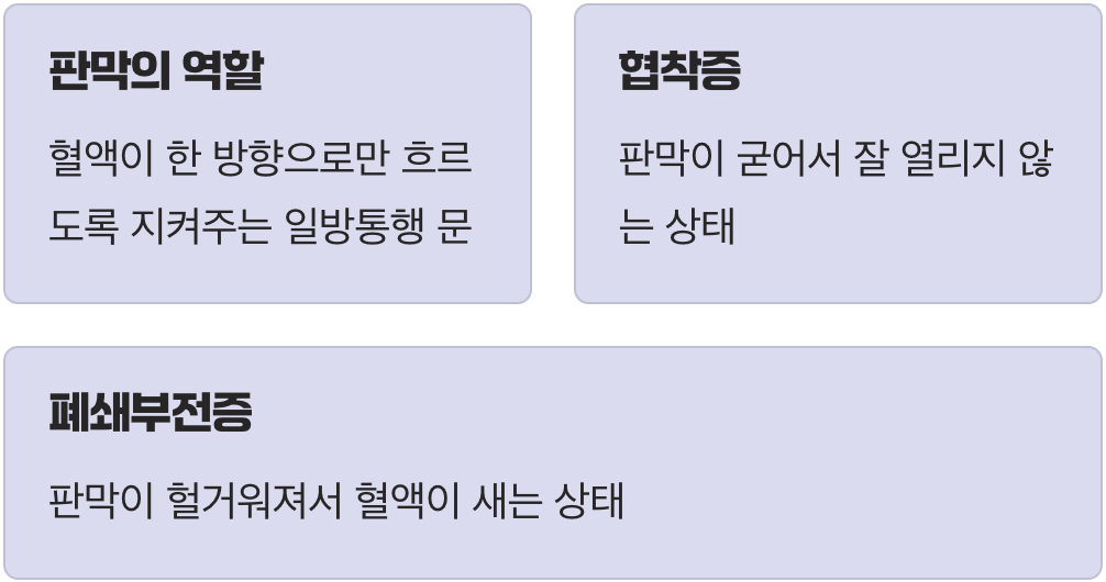 심장의 문지기, 판막이란 무엇일까?