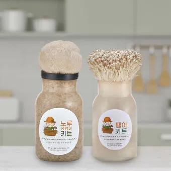 팽이버섯 재배 저온 관리 병해 예방 깔끔한 세척_4