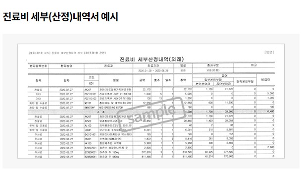 진료비세부내역서