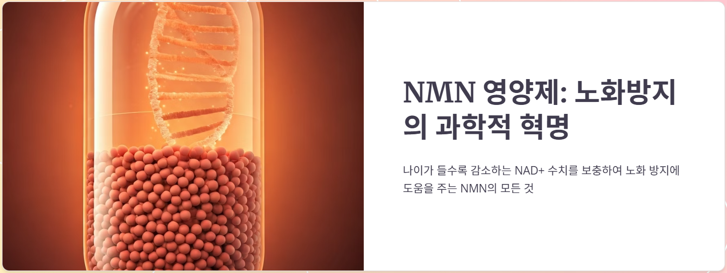 MNM(NMN)영양제 노화방지 끝판왕! 성분과 실사용 후기 !