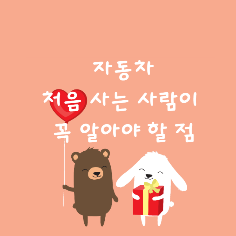 🚗 자동차 처음 사는 사람이 꼭 알아야 할 점