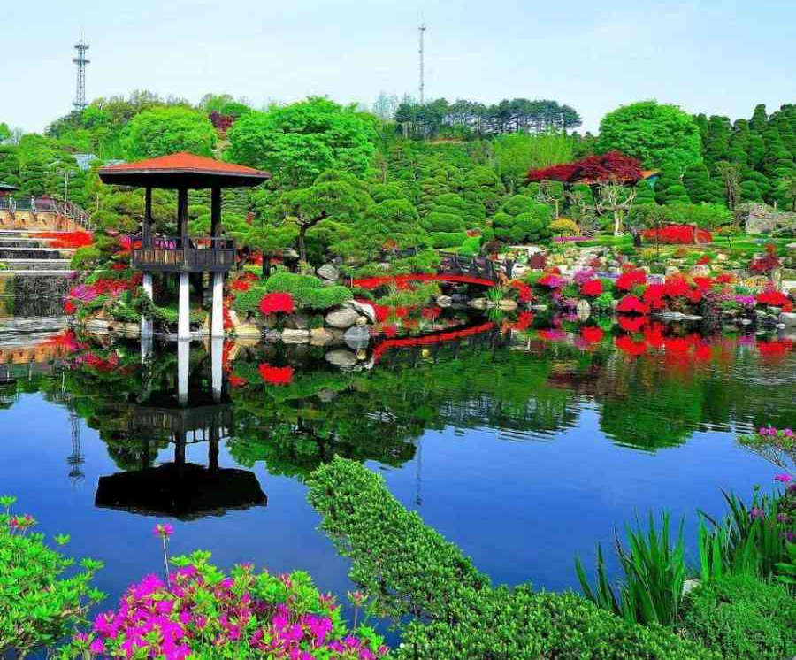 베어트리파크 철쭉제 봄과 철쭉