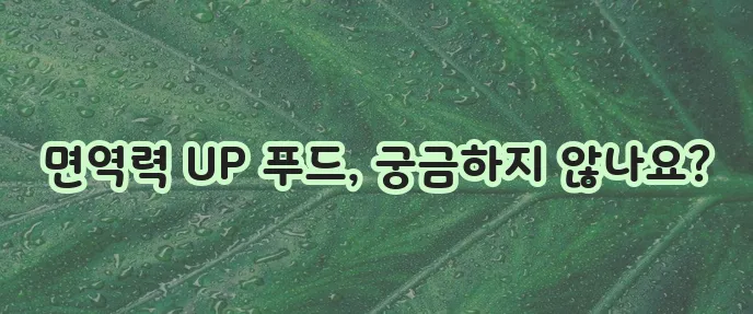 면역력에 좋은 음식 TOP 5, 꼭 챙겨 드세요!