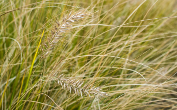 희망두배 청년통장 2025년 19