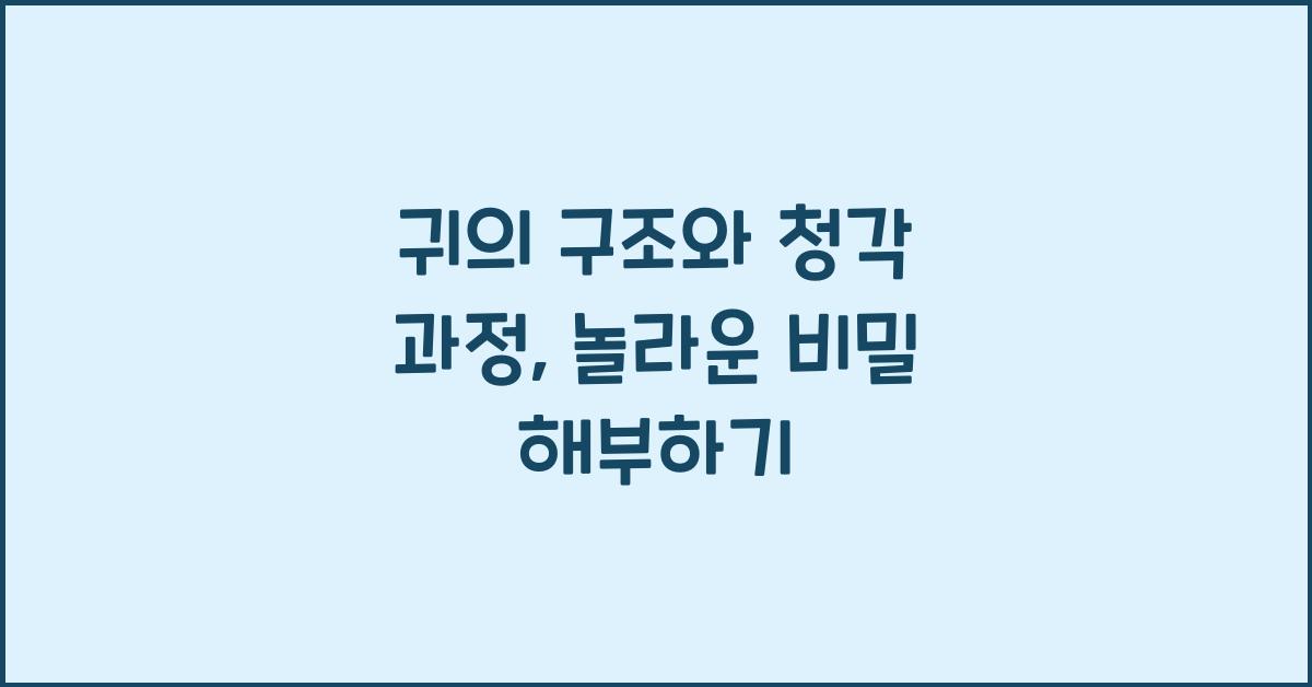 귀의 구조와 청각 과정