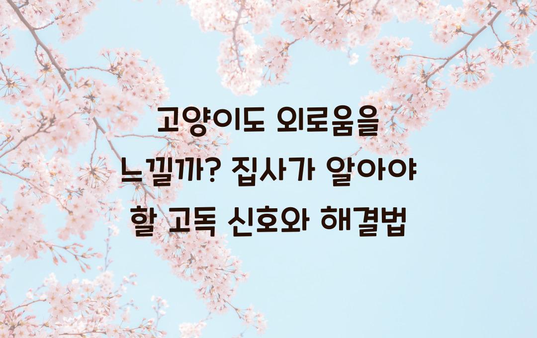 고양이도 외로움을 느낄까? 집사가 꼭 알아야 할 고독 신호