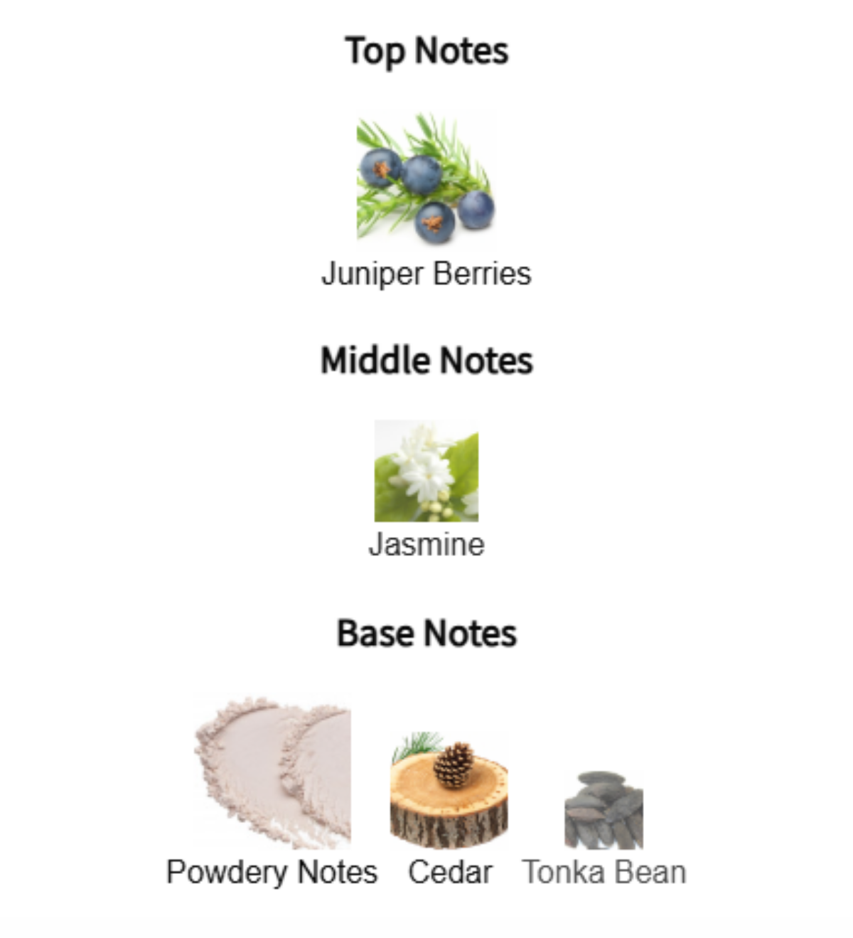 오르페몽 노트구성, 피라미드 구조