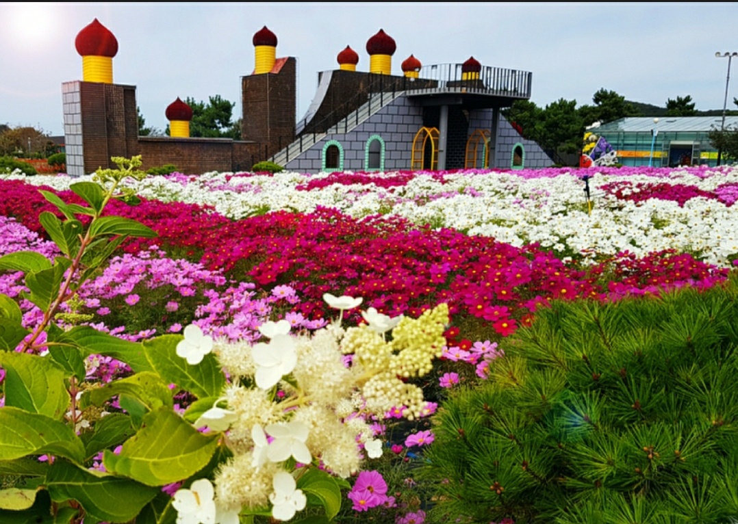 가을 꽃 축제 일정과 지역