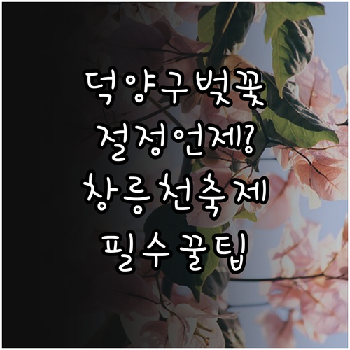 덕양구 벚꽃 절정 시기 확인 및 창릉..