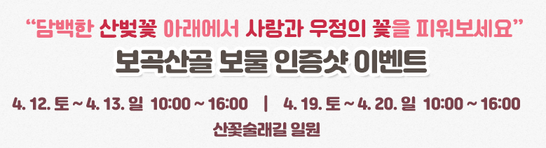 금산 보곡산골 산벚꽃 축제