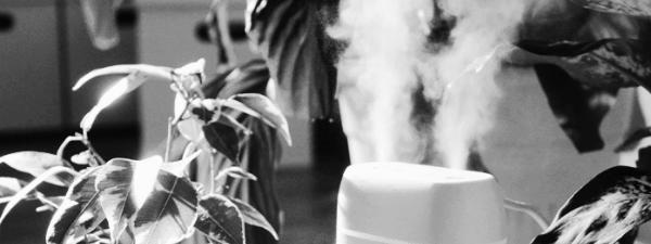 적정 실내습도 조절 방법 4가지