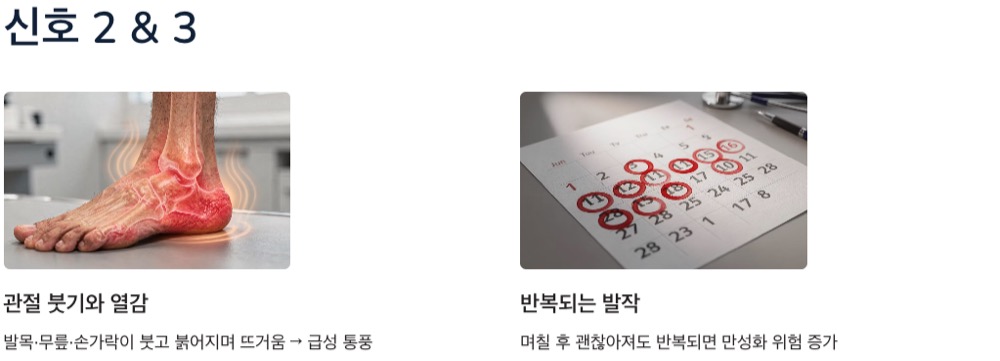 통풍 증상 위험신호