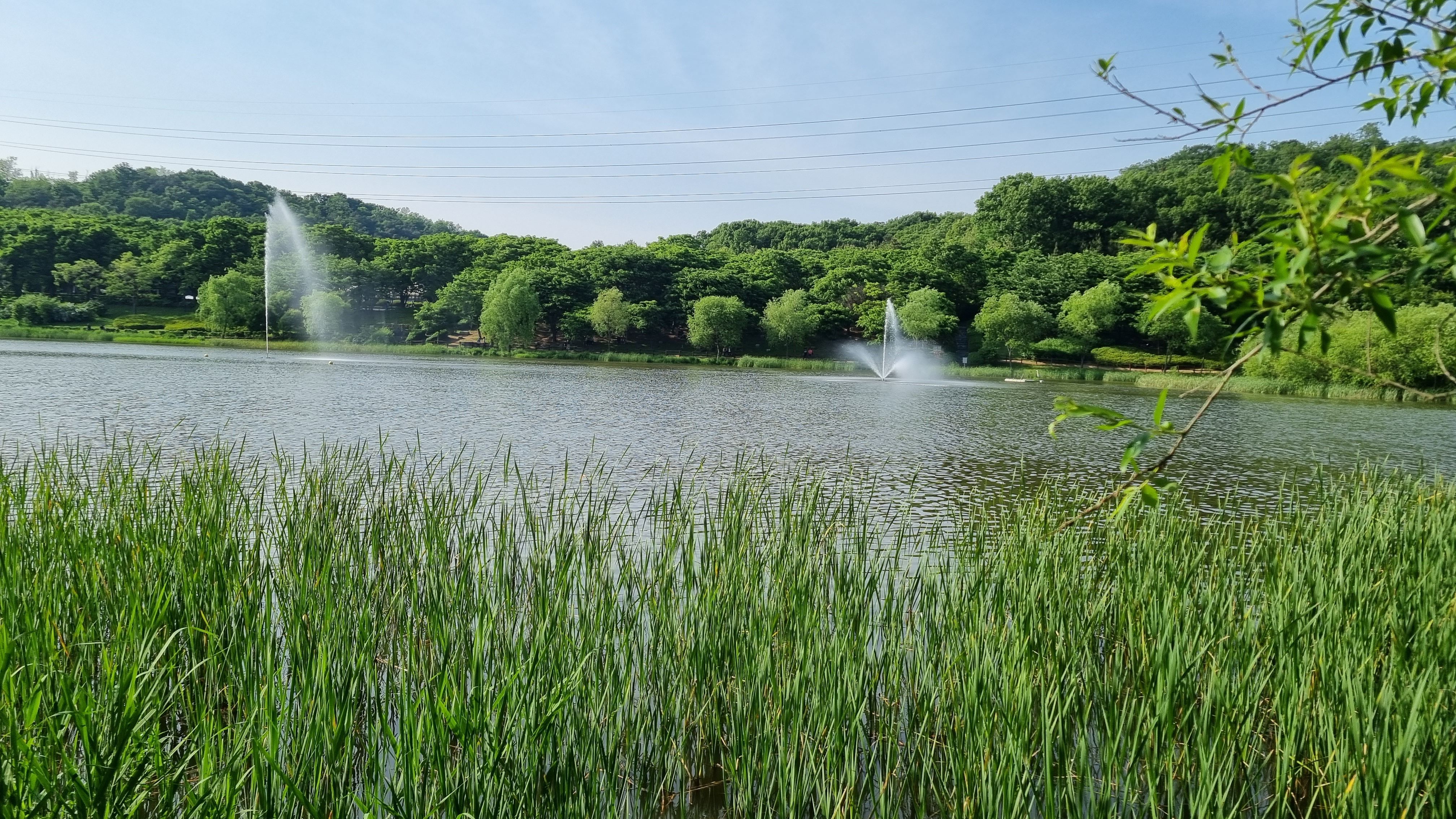 인천대공원 호수