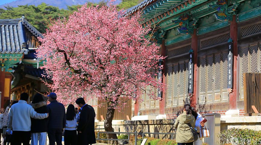 양산 통도사