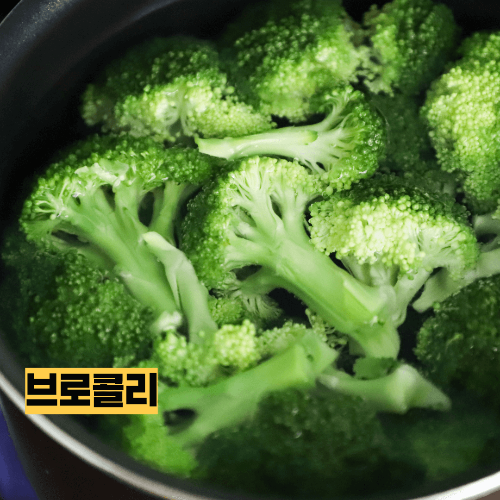 다이어트 식단