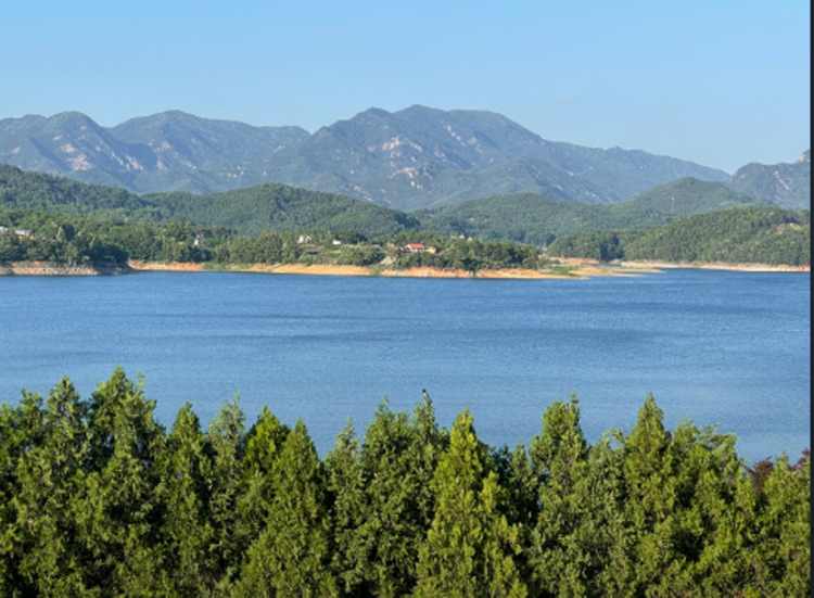 청풍호반 오토캠핑장