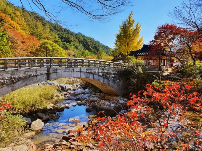 2025 문경세재 단풍 절정시기 및 트레킹코스,주차, 맛집, 주변명소 사진