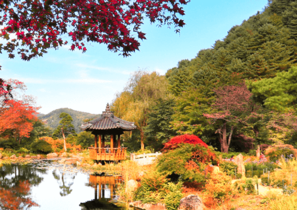 아침고요수목원 연못과 정자가 있는 정원