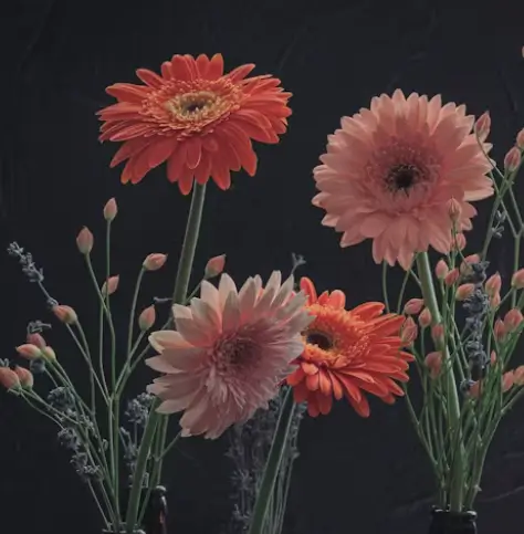 무료 이미지 사이트-Unsplash