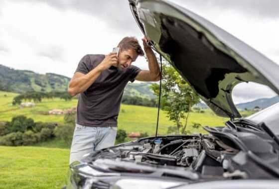자동차 보험료 비교