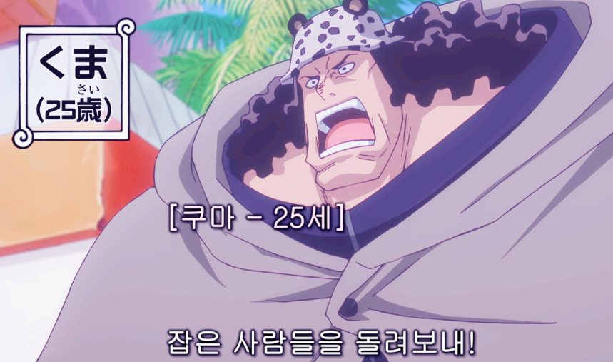 원피스 1131화 애니 쿠마 과거 지니 납치 자용군 등장 리뷰 스포주의2